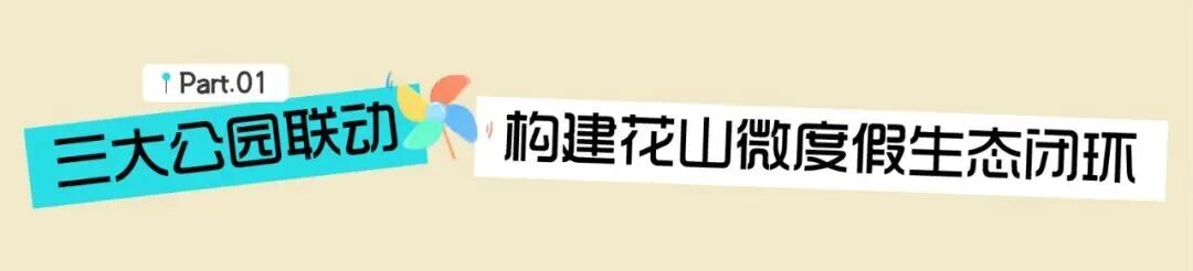8.cc U投辅导者