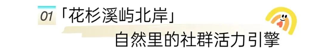 8.cc U投辅导者