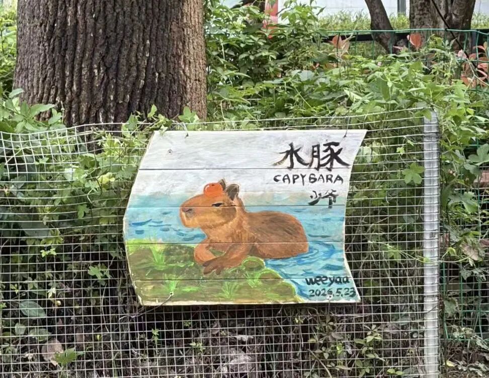 8.cc U投辅导者