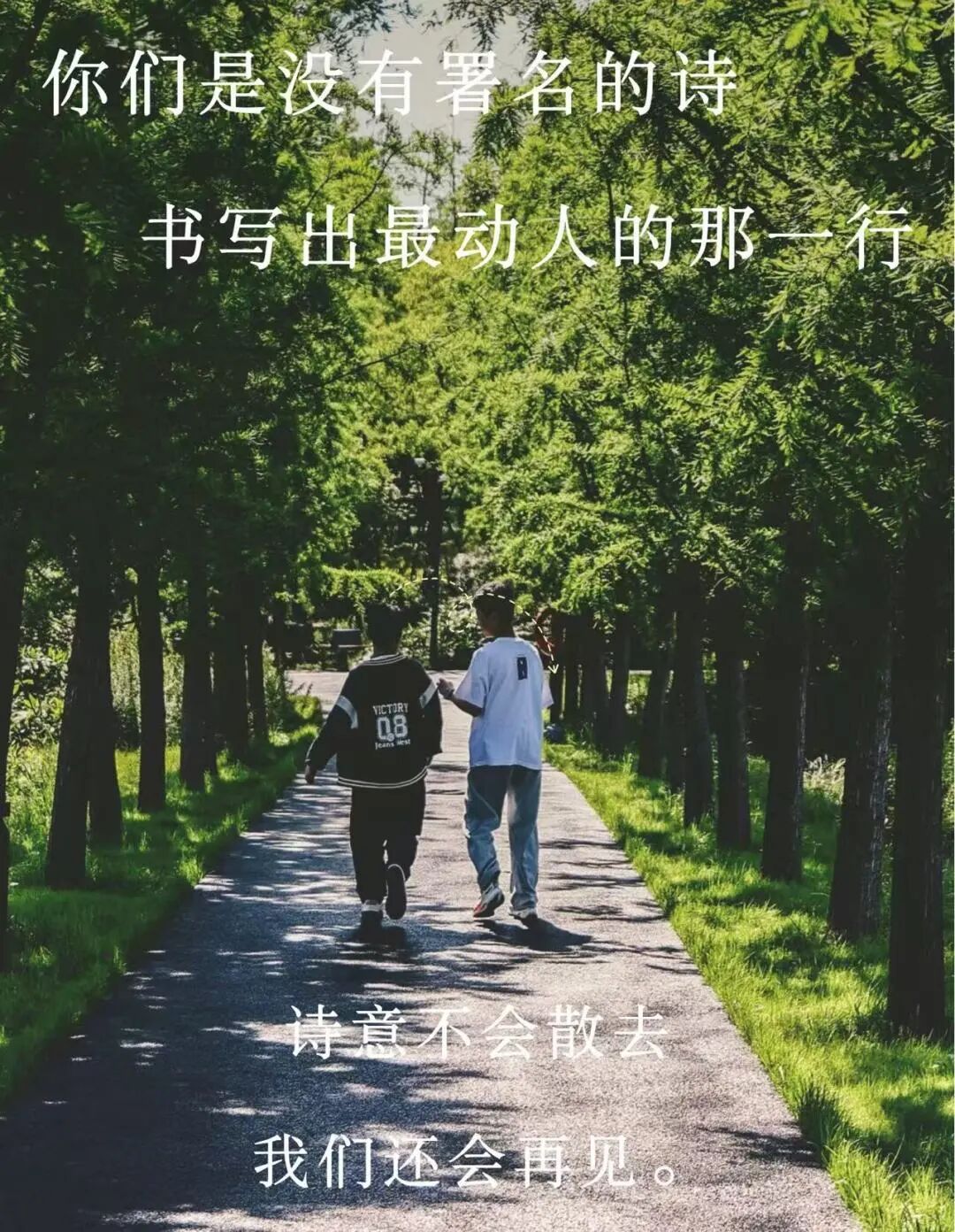 8.cc U投辅导者