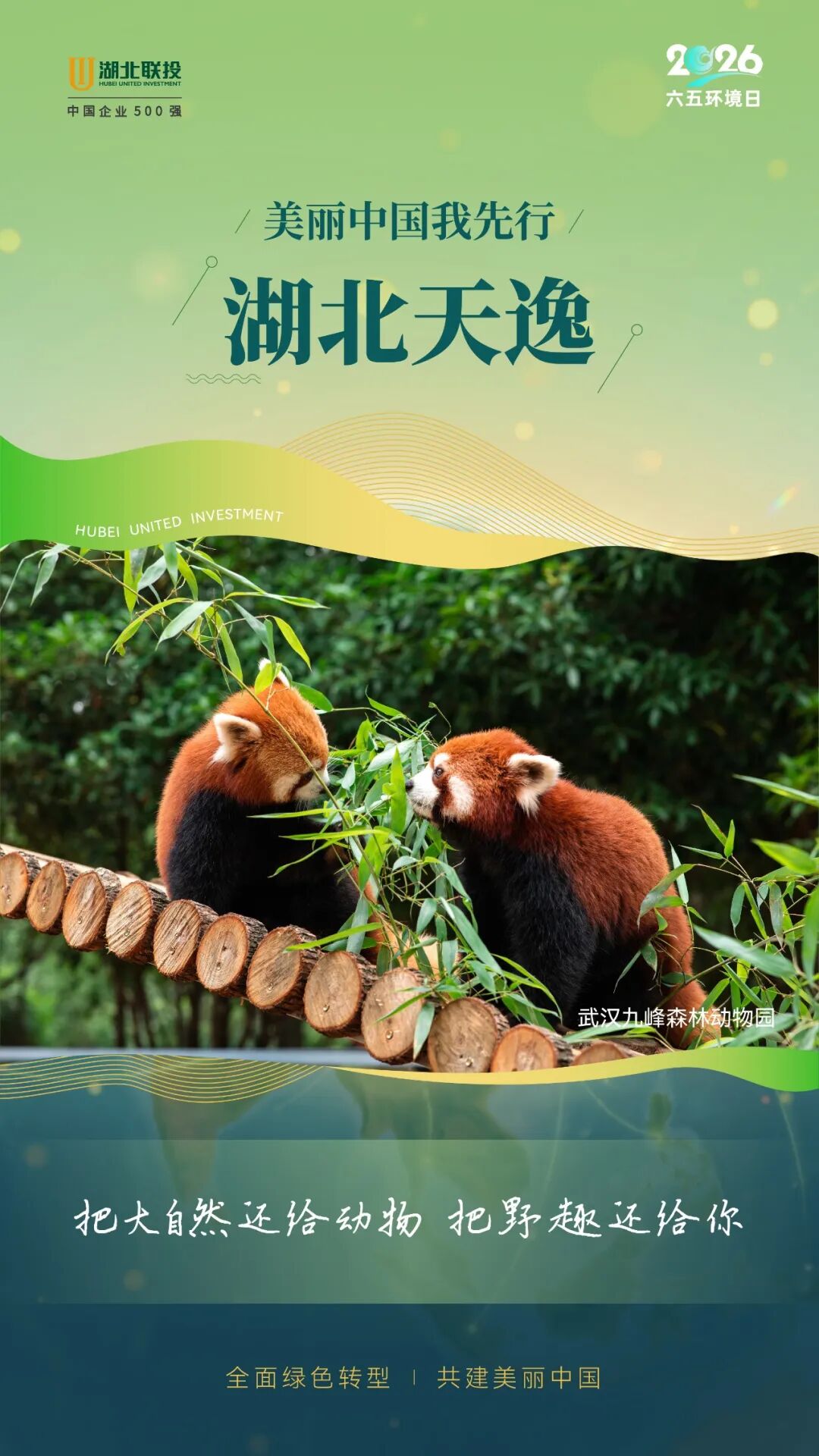 8.cc U投辅导者
