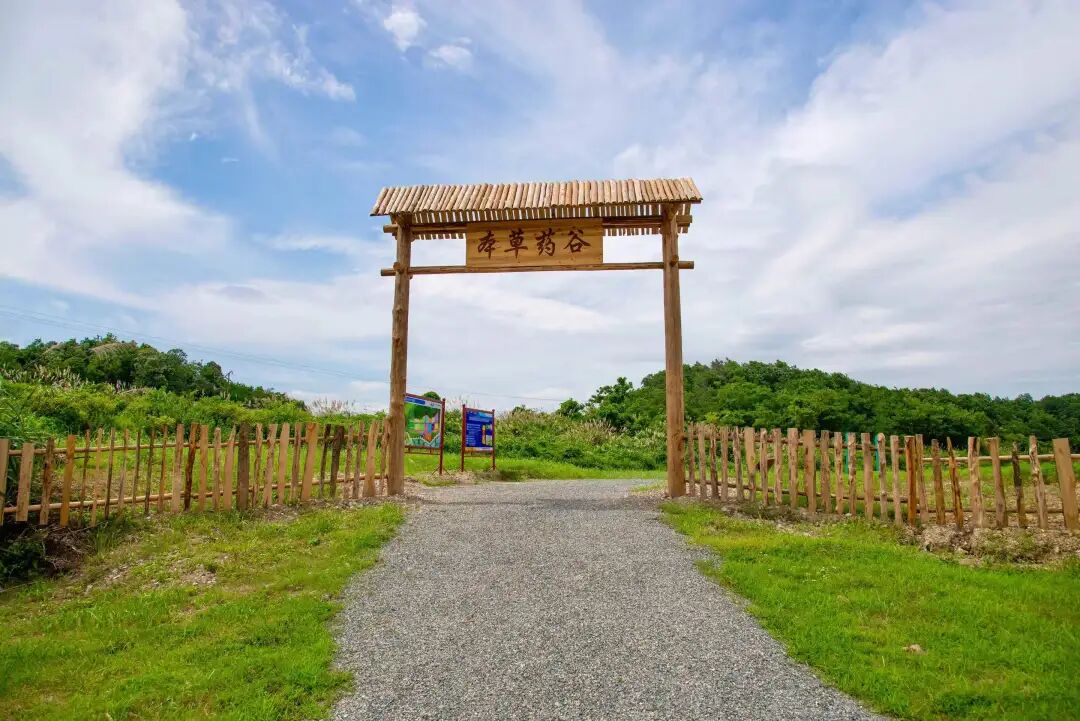 8.cc U投辅导者