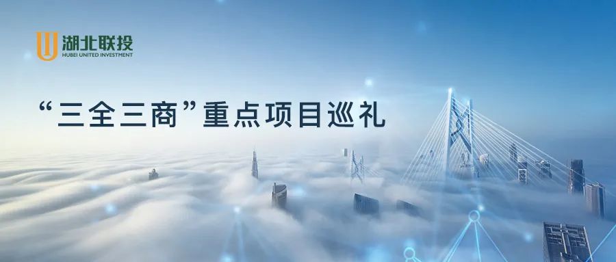 8.cc U投辅导者
